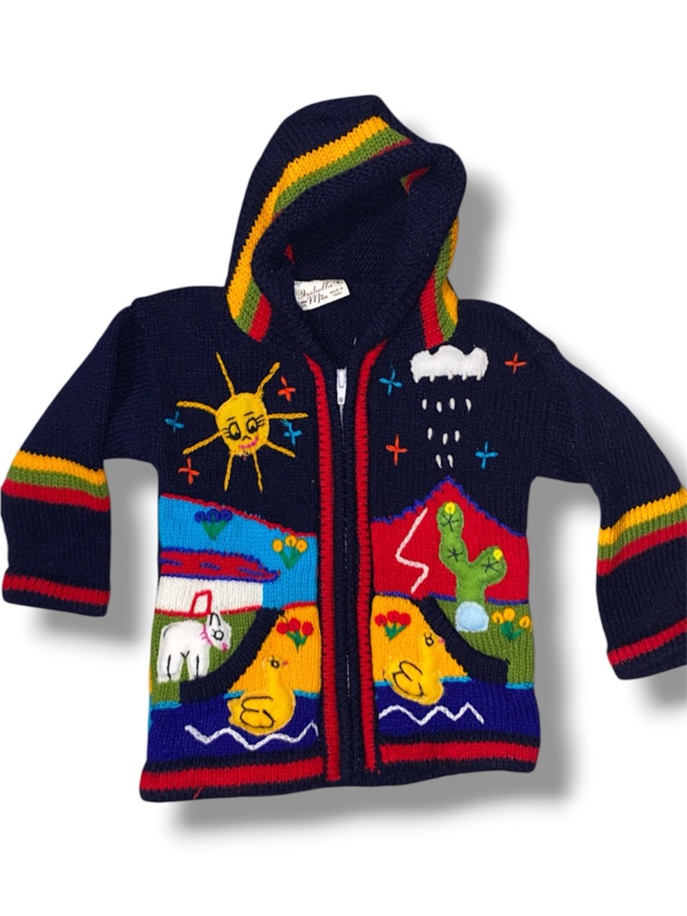Isabella Mia Peruvian blue hand knit hooded zip up sweater